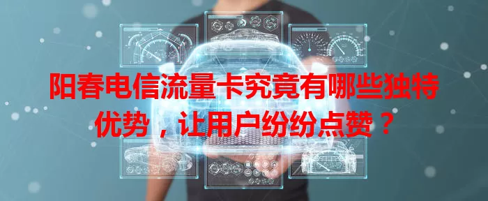 阳春电信流量卡究竟有哪些独特优势，让用户纷纷点赞？