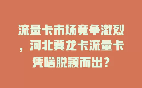 流量卡市场竞争激烈，河北冀龙卡流量卡凭啥脱颖而出？