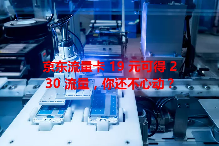 京东流量卡 19 元可得 230 流量，你还不心动？
