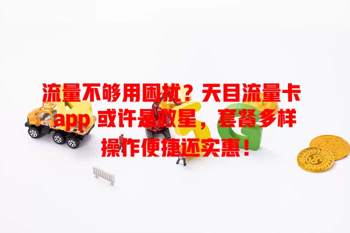 流量不够用困扰？天目流量卡 app 或许是救星，套餐多样操作便捷还实惠！