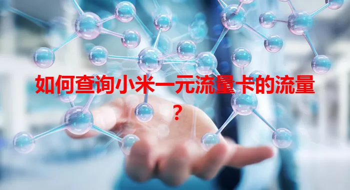 如何查询小米一元流量卡的流量？