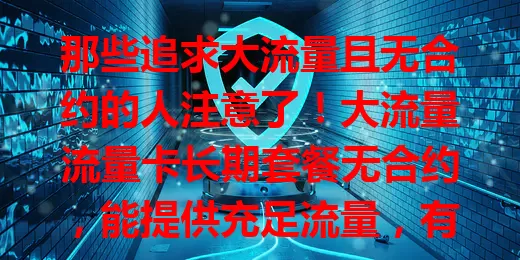 那些追求大流量且无合约的人注意了！大流量流量卡长期套餐无合约，能提供充足流量，有长期稳定保障，还无合约束缚，可按需调整，畅享便捷自由网络模式，提升网络体验