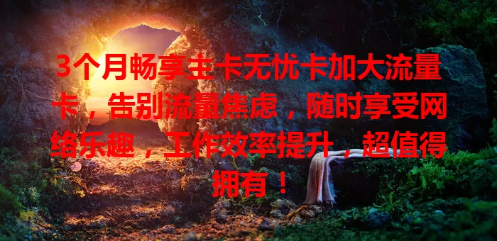 3个月畅享主卡无忧卡加大流量卡，告别流量焦虑，随时享受网络乐趣，工作效率提升，超值得拥有！