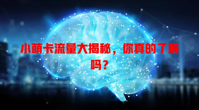 小萌卡流量大揭秘，你真的了解吗？