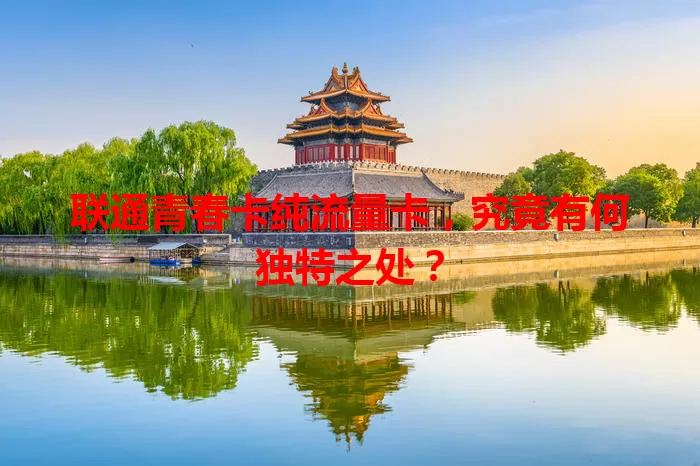 联通青春卡纯流量卡，究竟有何独特之处？