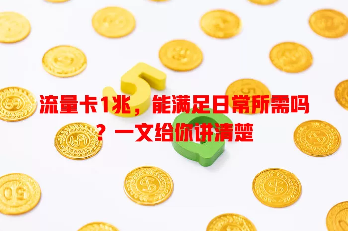 流量卡1兆，能满足日常所需吗？一文给你讲清楚