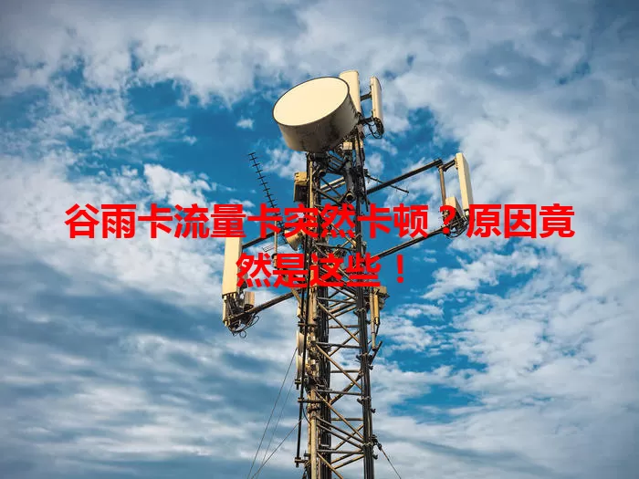 谷雨卡流量卡突然卡顿？原因竟然是这些！