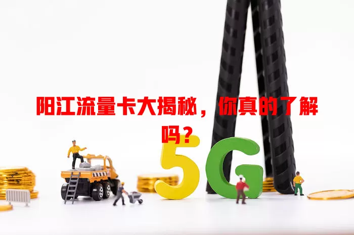 阳江流量卡大揭秘，你真的了解吗？