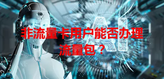非流量卡用户能否办理流量包？