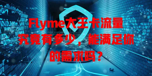 Flyme大王卡流量究竟有多少，能满足你的需求吗？
