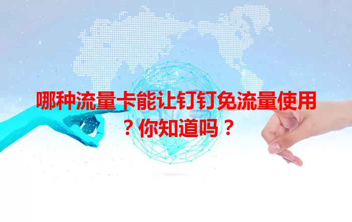 哪种流量卡能让钉钉免流量使用？你知道吗？