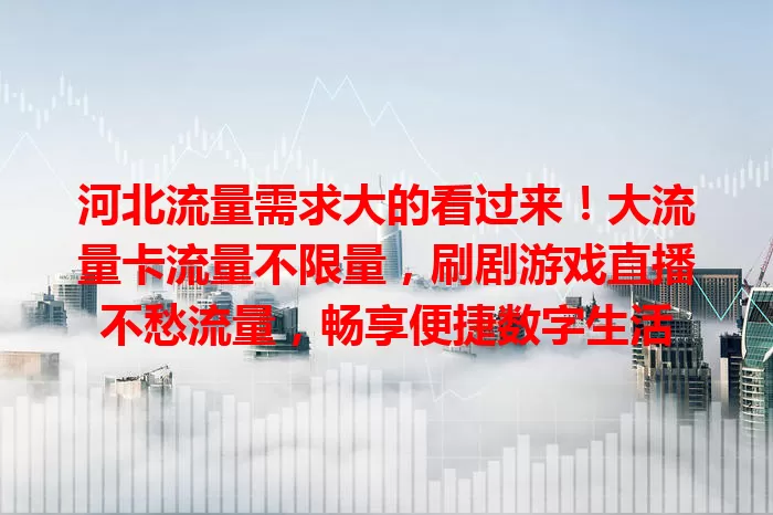 河北流量需求大的看过来！大流量卡流量不限量，刷剧游戏直播不愁流量，畅享便捷数字生活