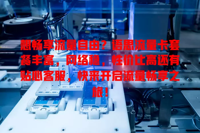 想畅享流量自由？语思流量卡套餐丰富，网络稳，性价比高还有贴心客服，快来开启流量畅享之旅！