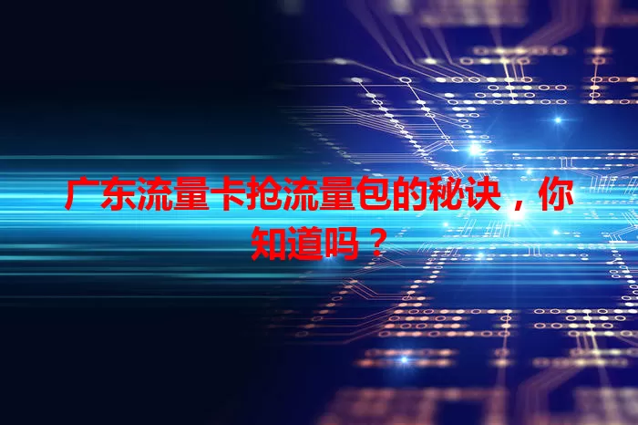 广东流量卡抢流量包的秘诀，你知道吗？