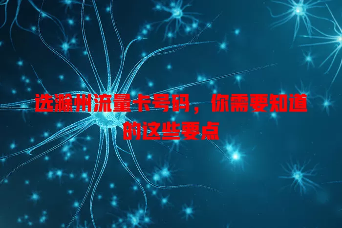 选滁州流量卡号码，你需要知道的这些要点