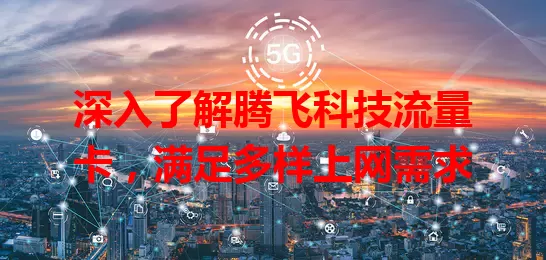 深入了解腾飞科技流量卡，满足多样上网需求