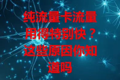 纯流量卡流量用得特别快？这些原因你知道吗