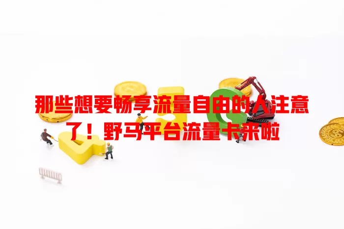 那些想要畅享流量自由的人注意了！野马平台流量卡来啦