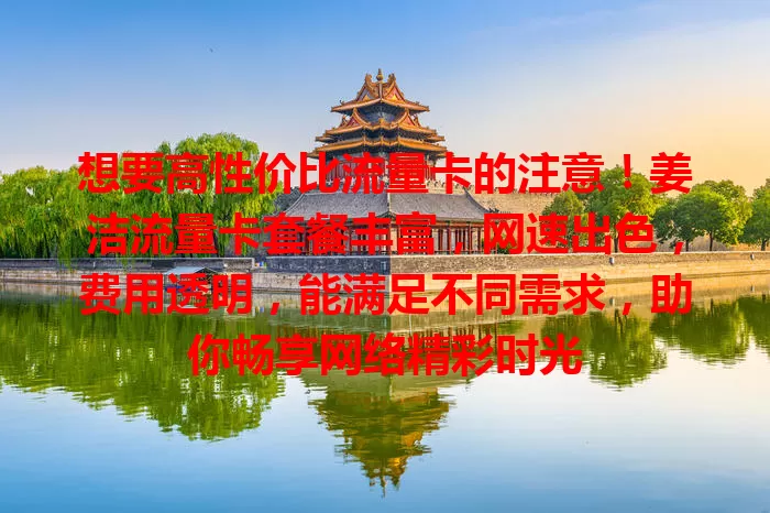 想要高性价比流量卡的注意！姜洁流量卡套餐丰富，网速出色，费用透明，能满足不同需求，助你畅享网络精彩时光