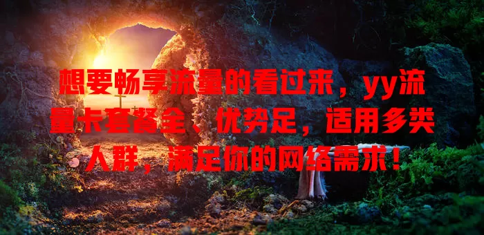 想要畅享流量的看过来，yy流量卡套餐全、优势足，适用多类人群，满足你的网络需求！