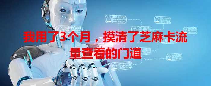 我用了3个月，摸清了芝麻卡流量查看的门道
