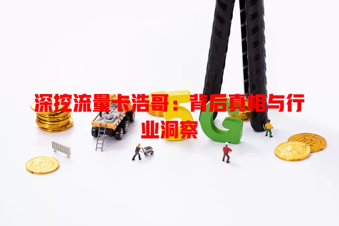深挖流量卡浩哥：背后真相与行业洞察