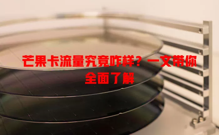 芒果卡流量究竟咋样？一文带你全面了解