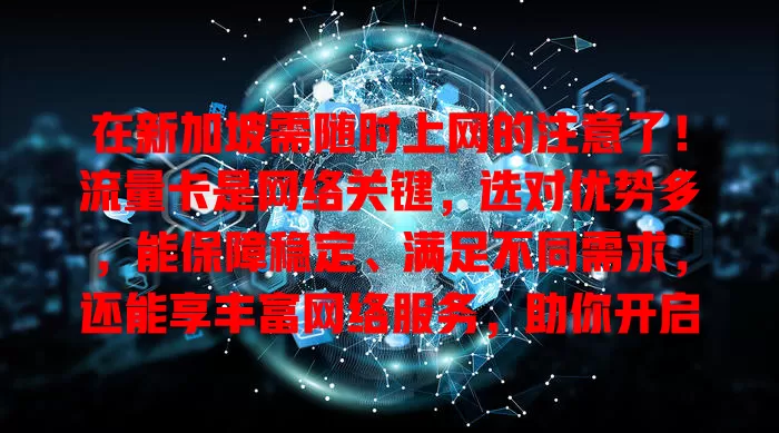在新加坡需随时上网的注意了！流量卡是网络关键，选对优势多，能保障稳定、满足不同需求，还能享丰富网络服务，助你开启精彩网络生活