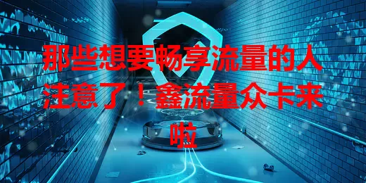 那些想要畅享流量的人注意了！鑫流量众卡来啦