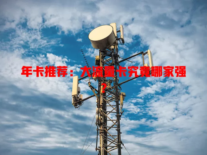 年卡推荐：大流量卡究竟哪家强？