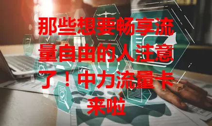 那些想要畅享流量自由的人注意了！中力流量卡来啦