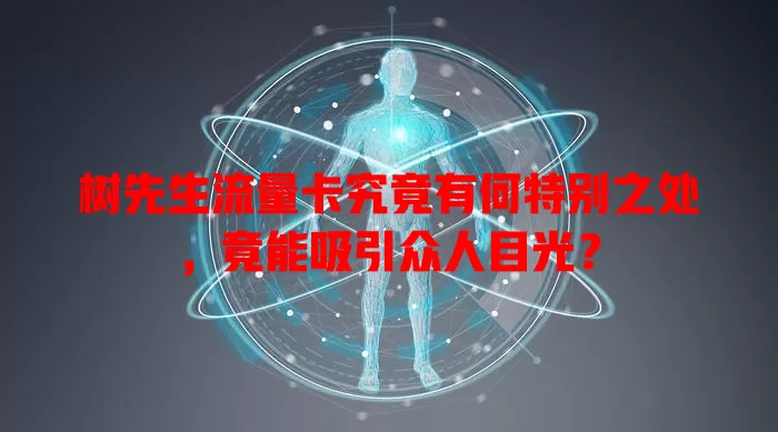 树先生流量卡究竟有何特别之处，竟能吸引众人目光？