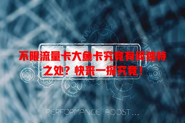 不限流量卡大鱼卡究竟有何独特之处？快来一探究竟！