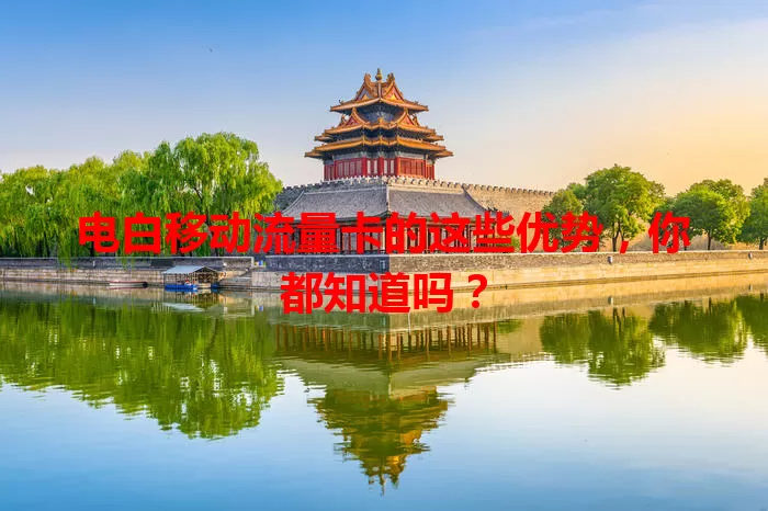 电白移动流量卡的这些优势，你都知道吗？