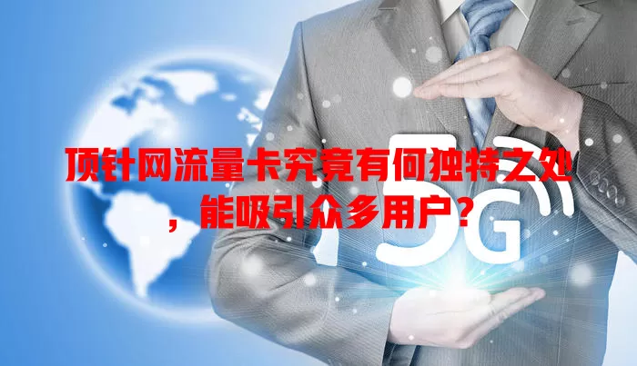 顶针网流量卡究竟有何独特之处，能吸引众多用户？