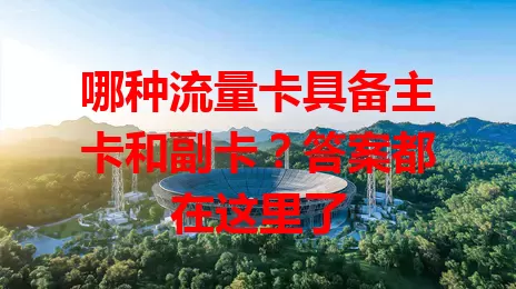 哪种流量卡具备主卡和副卡？答案都在这里了