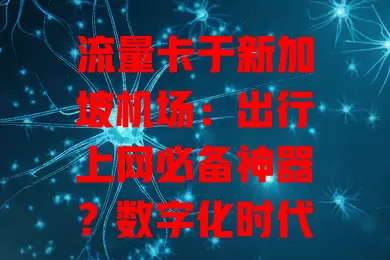 流量卡于新加坡机场：出行上网必备神器？数字化时代，网络成出行刚需。新加坡机场繁忙，流量卡或成上网关键，便捷好用超稳，游客用它能畅玩，选卡有要点，它会是你的必备神器吗？