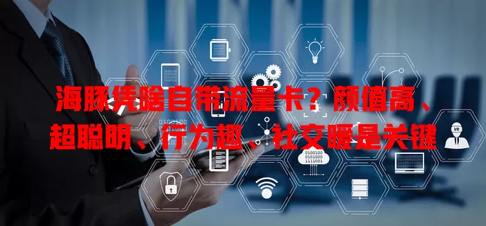 海豚凭啥自带流量卡？颜值高、超聪明、行为趣、社交暖是关键