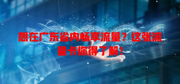 想在广东省内畅享流量？这张流量卡你得了解！