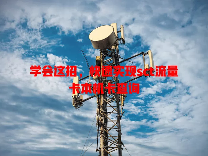 学会这招，快速实现sct流量卡本机卡查询