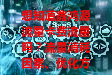 想知道鑫鸿源流量卡费流量吗？流量消耗因素、优化方法及掌握使用情况全解析