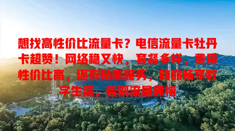 想找高性价比流量卡？电信流量卡牡丹卡超赞！网络稳又快，套餐多样，费用性价比高，还有贴心服务，助你畅享数字生活，告别流量烦恼