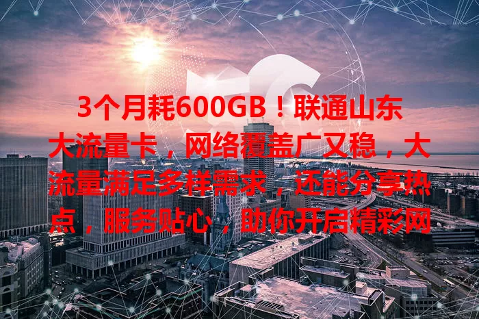 3个月耗600GB！联通山东大流量卡，网络覆盖广又稳，大流量满足多样需求，还能分享热点，服务贴心，助你开启精彩网络生活