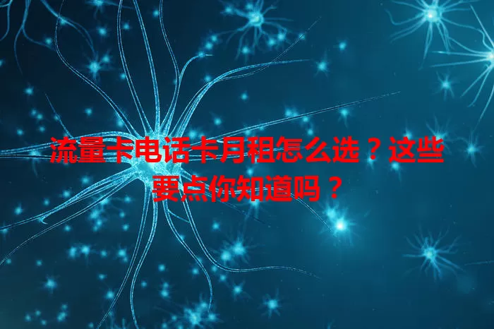 流量卡电话卡月租怎么选？这些要点你知道吗？