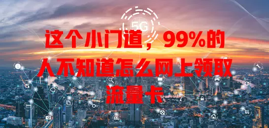这个小门道，99%的人不知道怎么网上领取流量卡