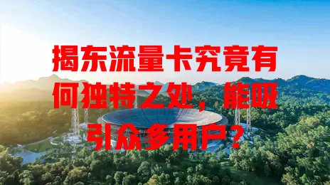 揭东流量卡究竟有何独特之处，能吸引众多用户？