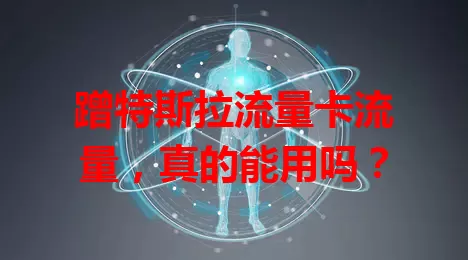 蹭特斯拉流量卡流量，真的能用吗？