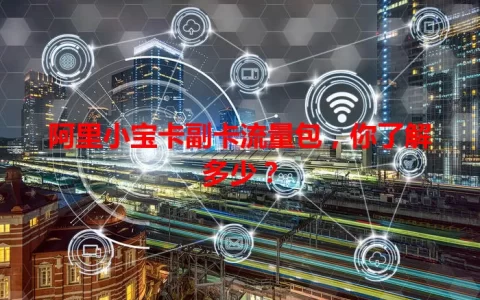阿里小宝卡副卡流量包，你了解多少？