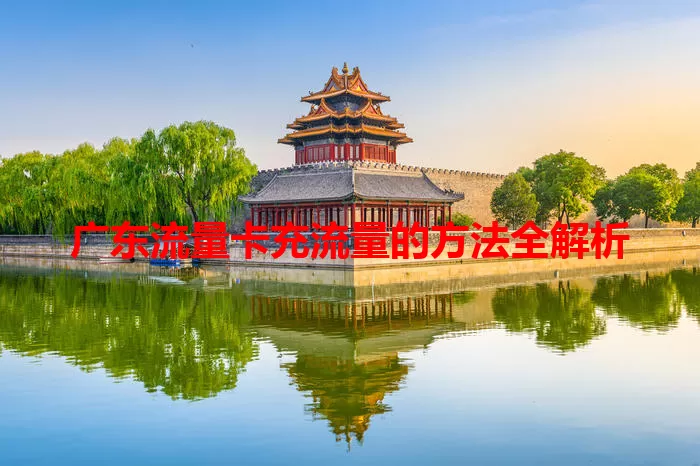 广东流量卡充流量的方法全解析