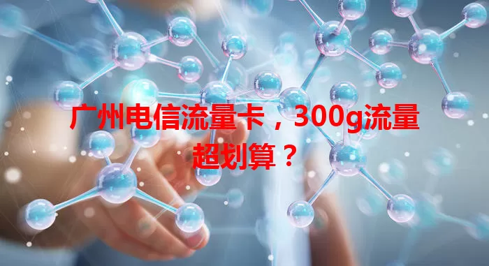 广州电信流量卡，300g流量超划算？